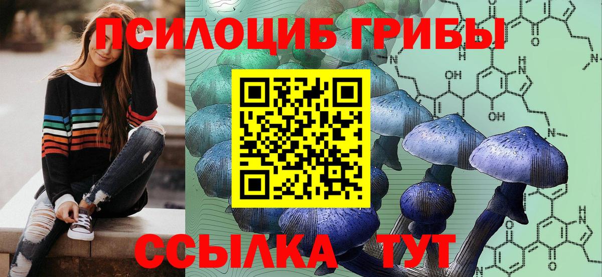 Псилоцибиновые грибы MAGIC MUSHROOMS Химки