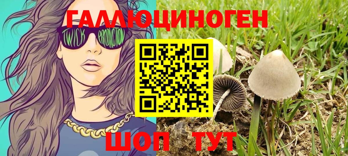 Галлюциногенные грибы Psilocybine cubensis  Псилоцибиновые грибы Cubensis  Вход с VPN  Химки 
